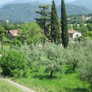 Bonu Gabriele Saló
